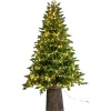 Albero di Natale Illuminato Darcy con Tronco 1450LED h240Ø145cm PE+PVC