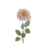 Rosa stelo singolo rosa con neve