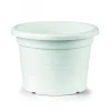 Vaso Cilindro 100 con Rulli