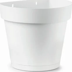 Vaso Cleo a Muro