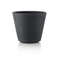 Vaso Ribeira