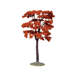 Yellowwood Tree, Large Cod. 44794